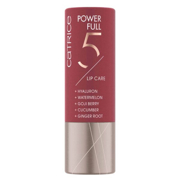 catrice_cosmetics_power_full_5_lip_care_040_addicting_cassis_1-1000x1000-1.jpg