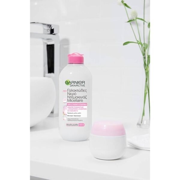 garnier_skin_active_micellar_cleansing_milky_water_all_in_1_400ml-1000x1000.jpeg-2.jpg